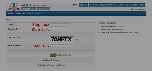 Income Tax User Login