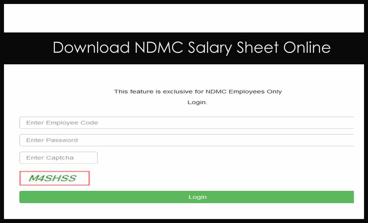 NDMC Pay Slip Download for Employee Salary Details