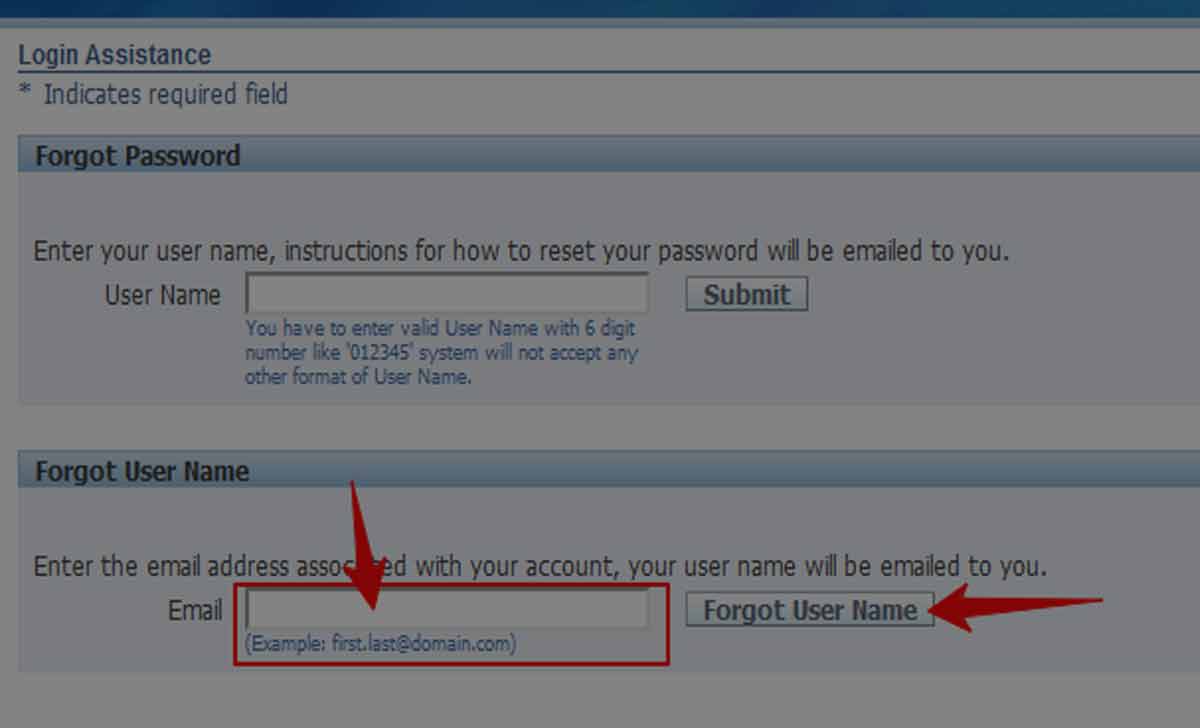 ICAR ERP MIS Portal Username Recovery Option