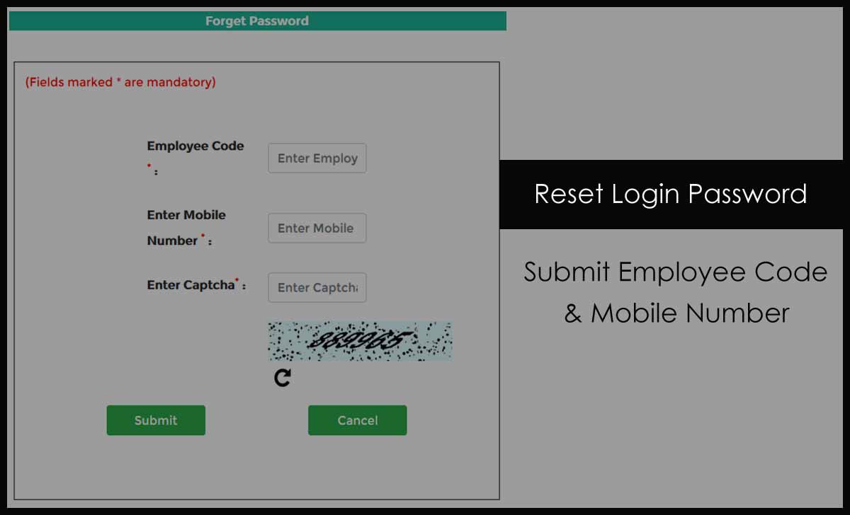 Reset NDMC Login Password for Payslip or Employee Corner