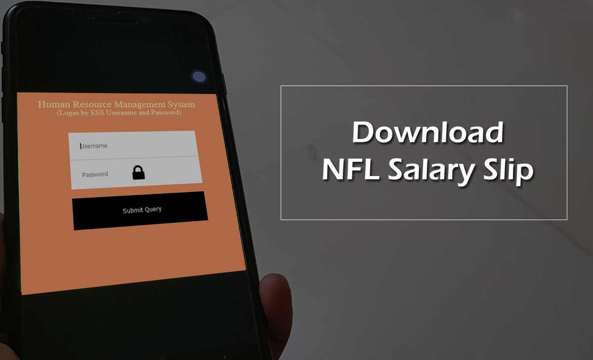 NFL Payslip at ESS Portal Login for Required Month