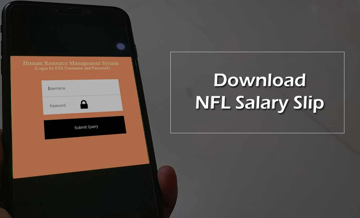 NFL Payslip Download Online