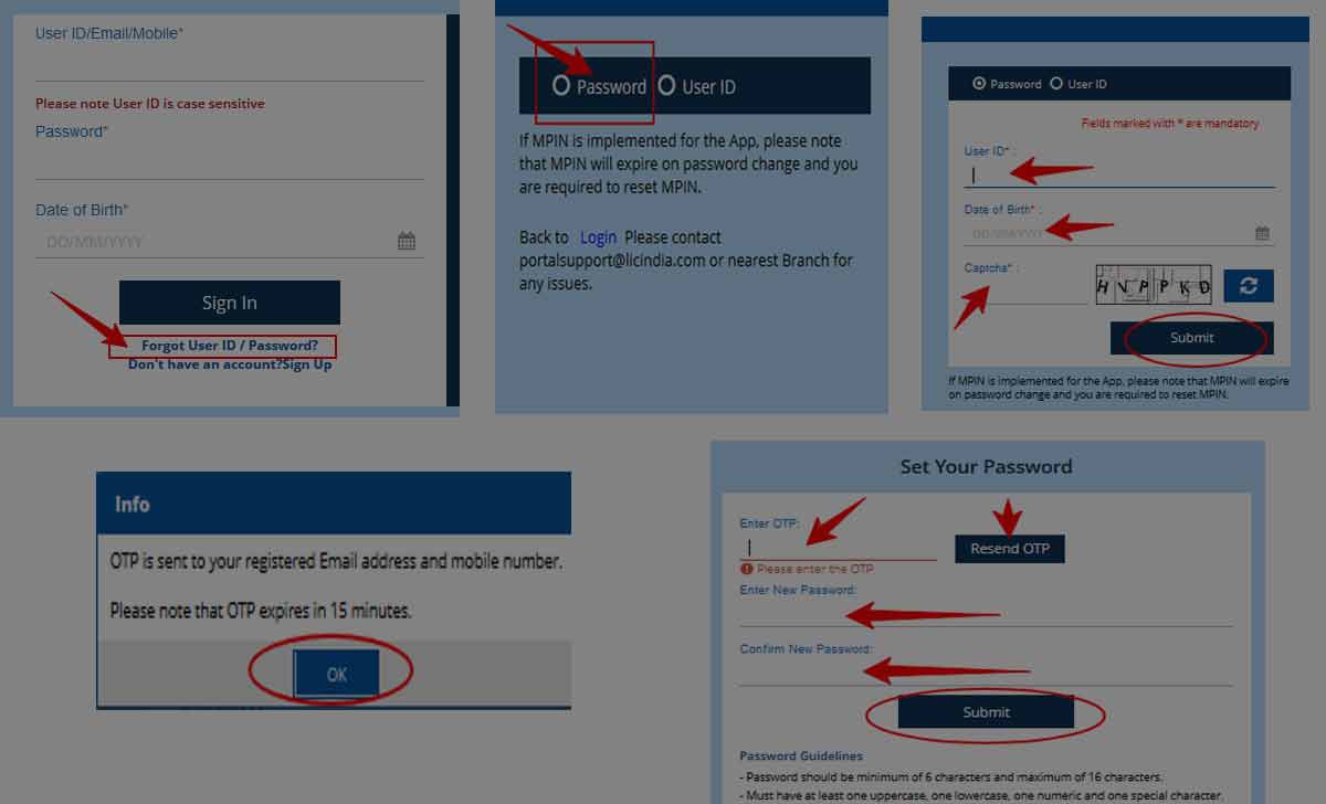 Reset LIC Login Password