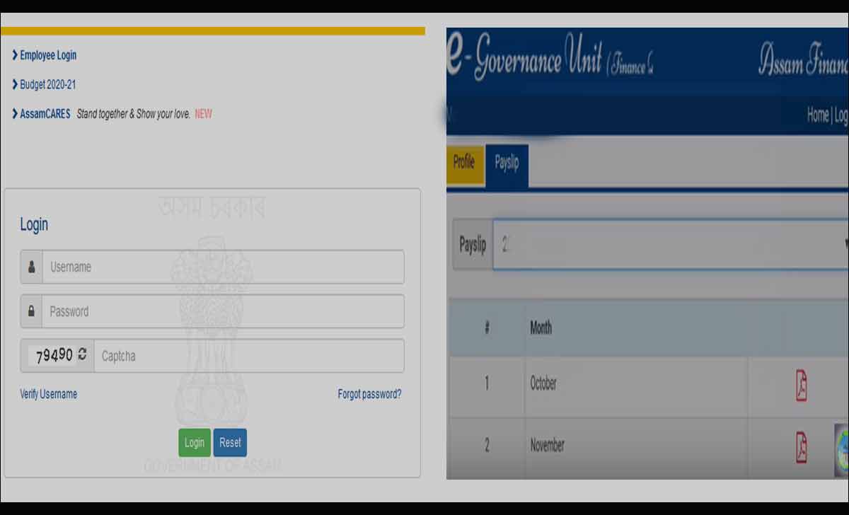 Assam Employee Payslip Download