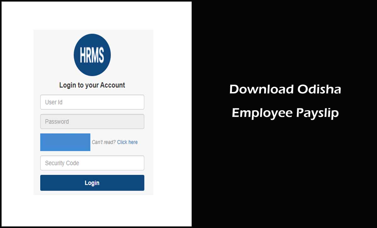 HRMS Odisha Payslip