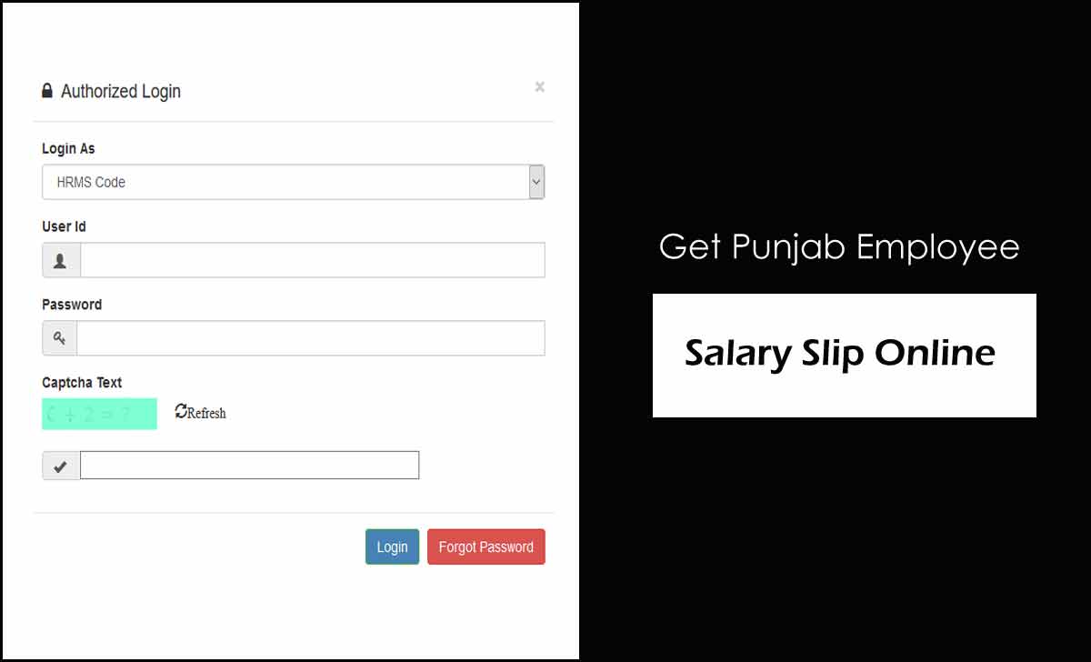 Punjab Employee Salary Slip Download