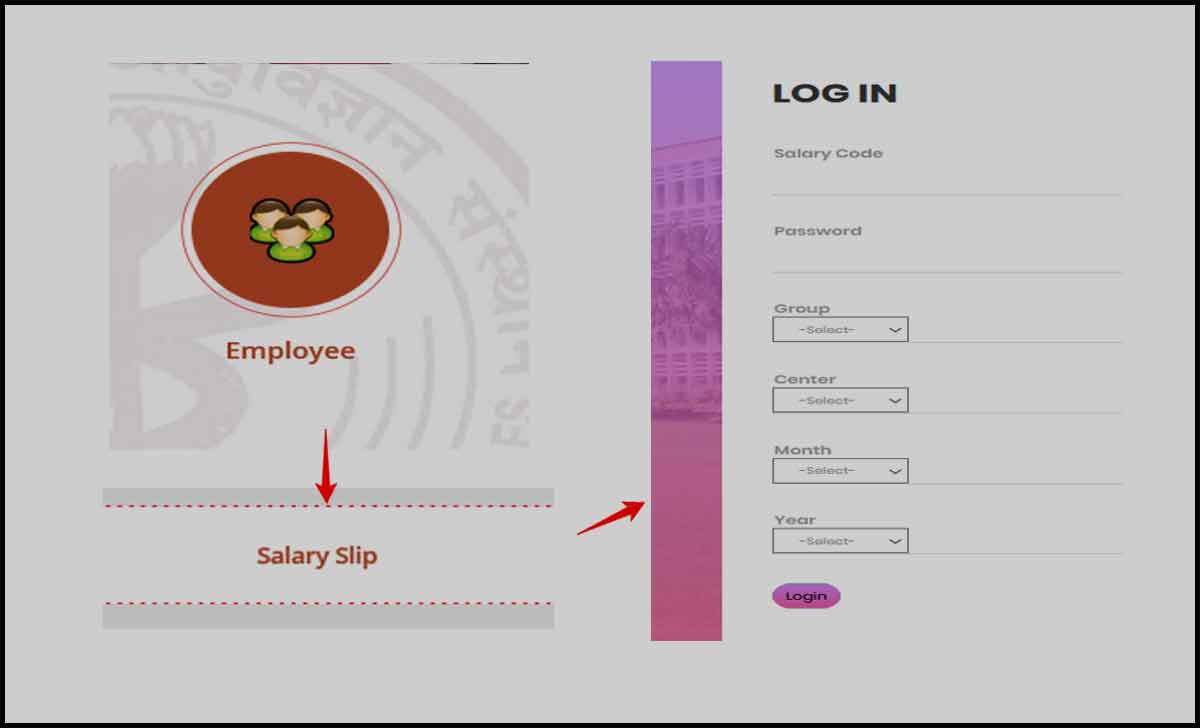 AIIMS Salary Slip