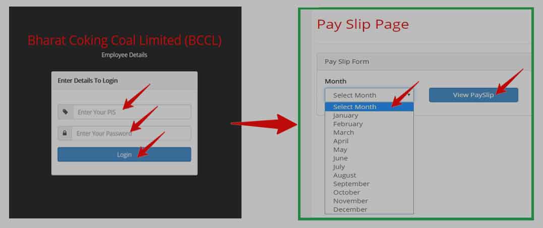 BCCL Payslip Download Process