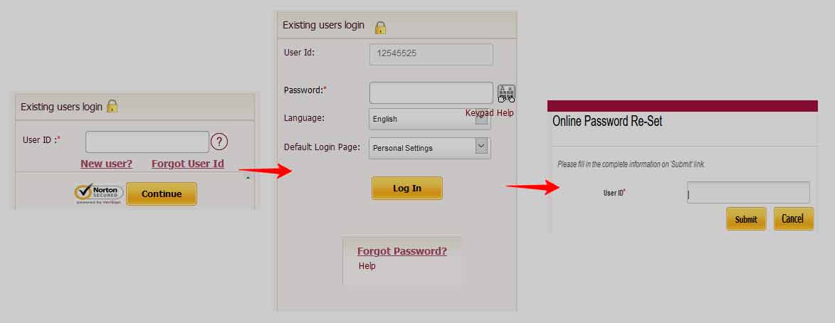 PNB Internet Banking Password Reset Process