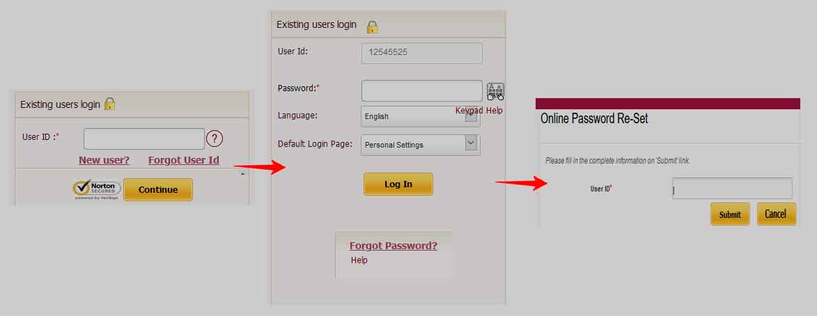 PNB Net Banking Password Reset Process