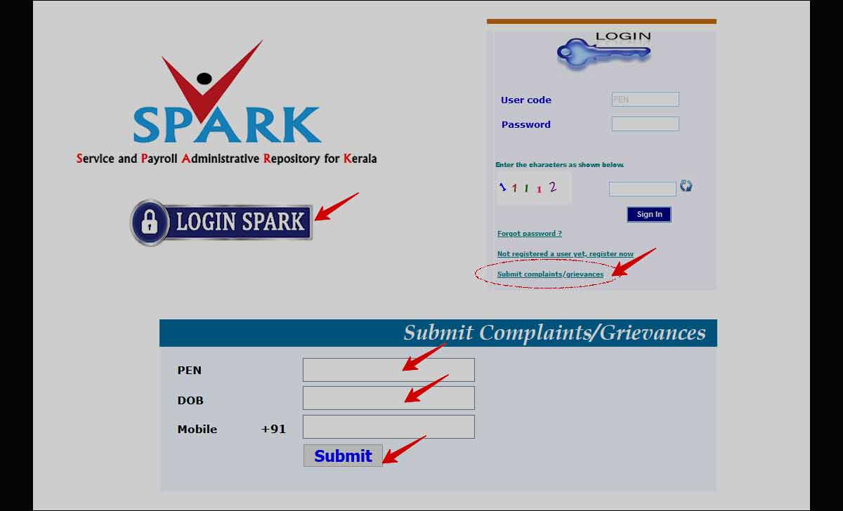 Kerala Employee Spark Complaint