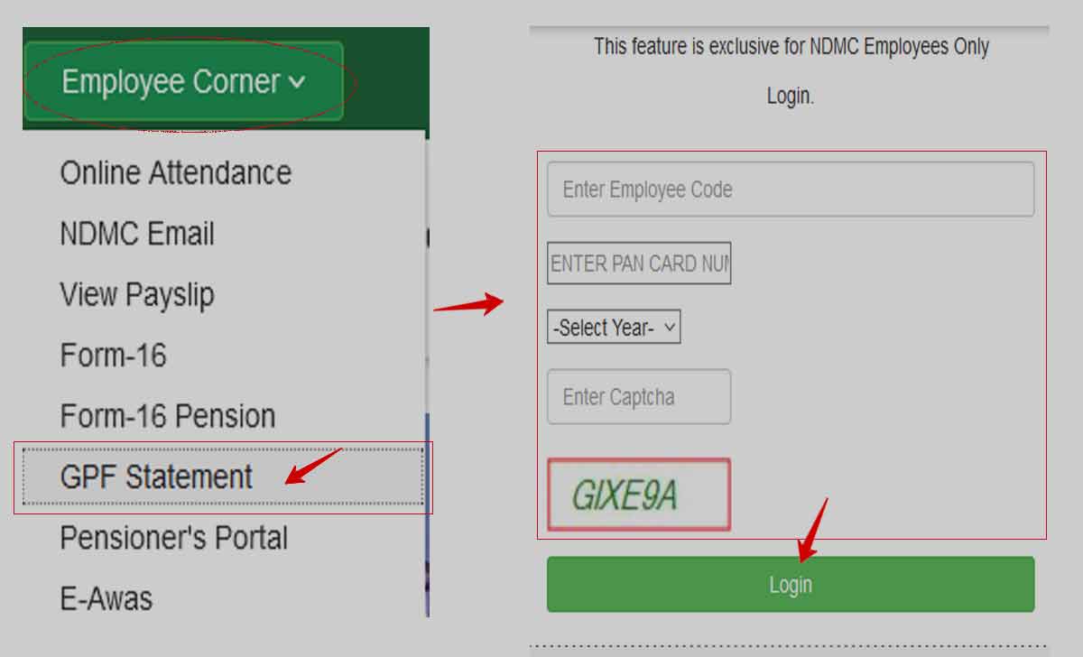NDMC GPF Statement Download