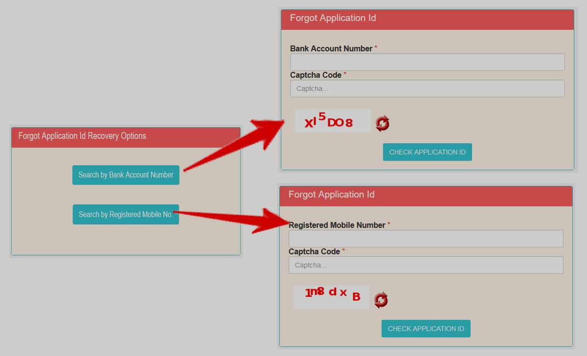 NSP Login Application ID Forgot