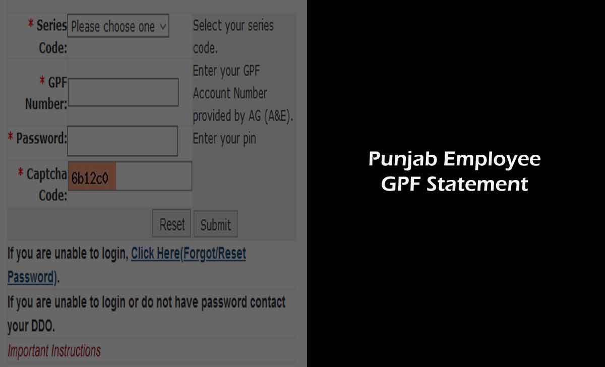 Punjab GPF Statement