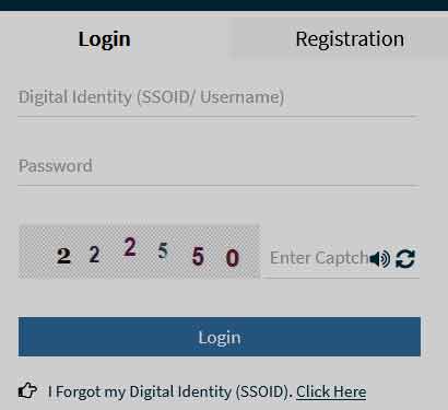 SSO ID Login