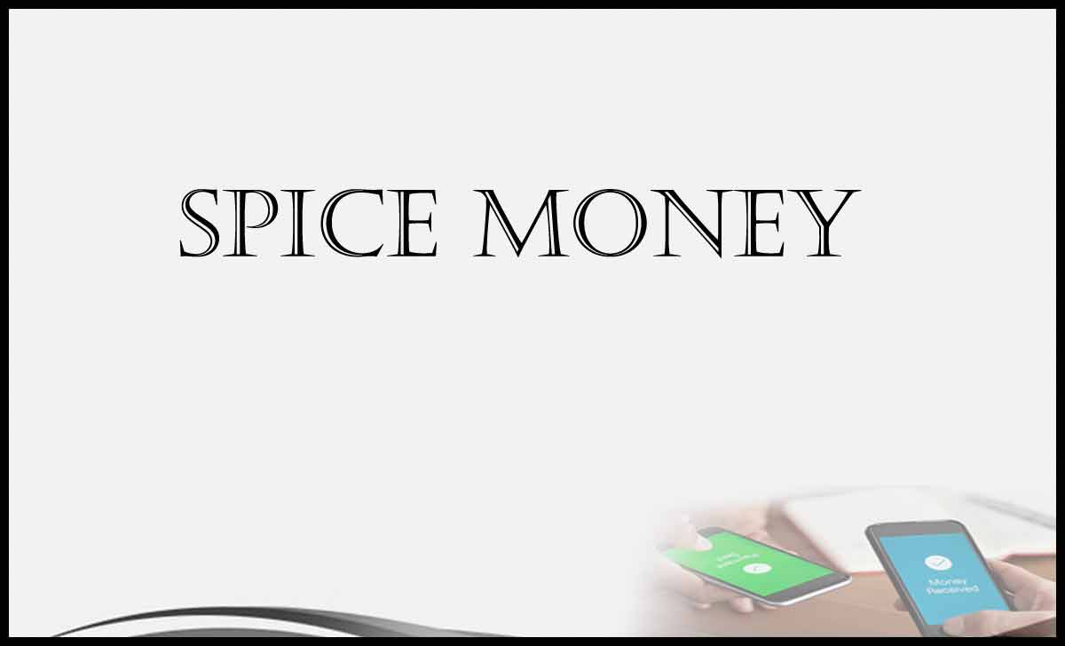 Spice Money Login