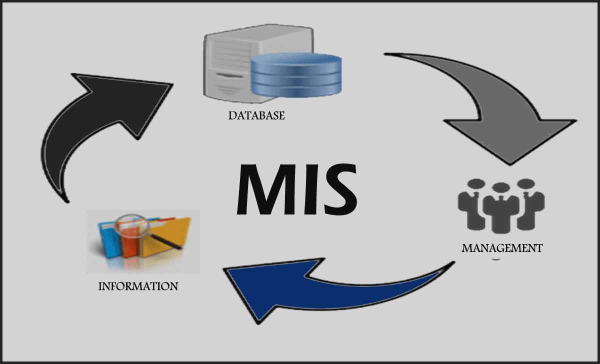 MIS Full Form and Management Information System Types