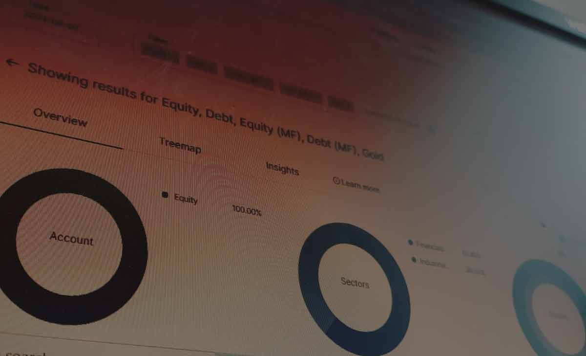 Zerodha Kite Stock Holding Report