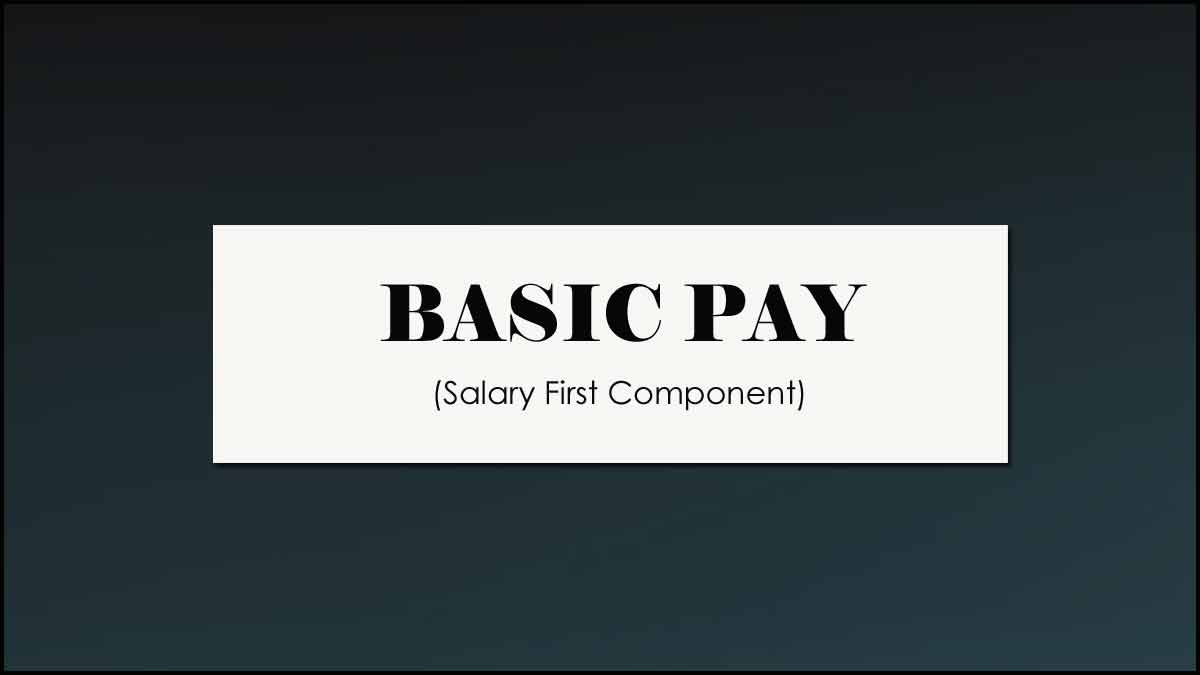 Basic Salary