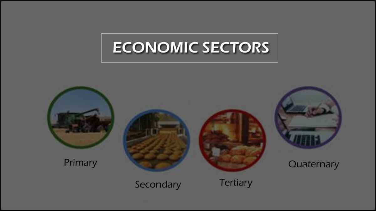 Economic Sector