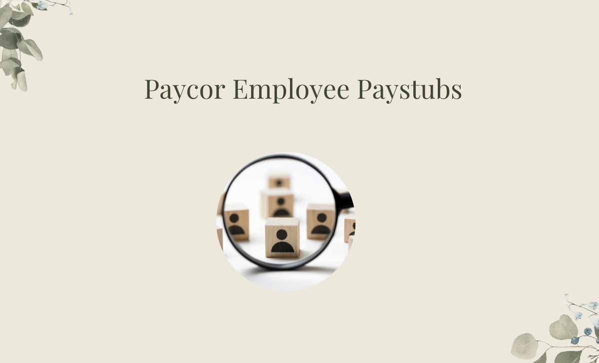 Paycor Paystub