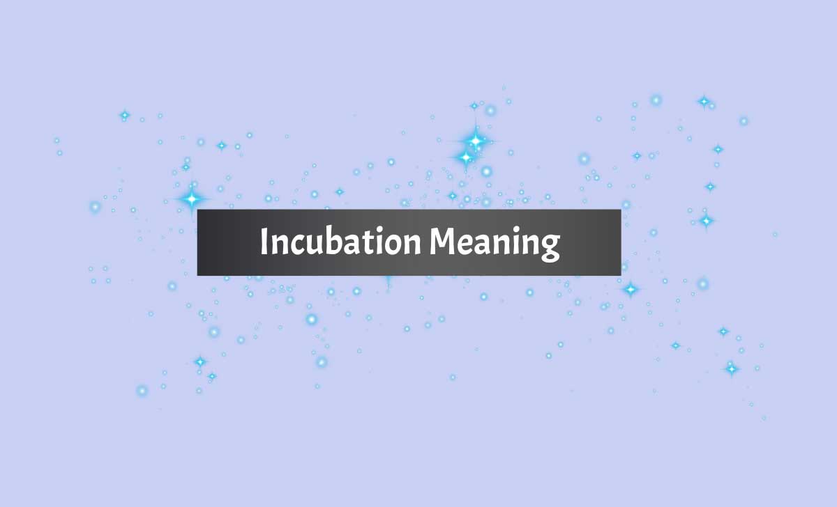 Incubation Meaning